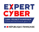 Expert cyber